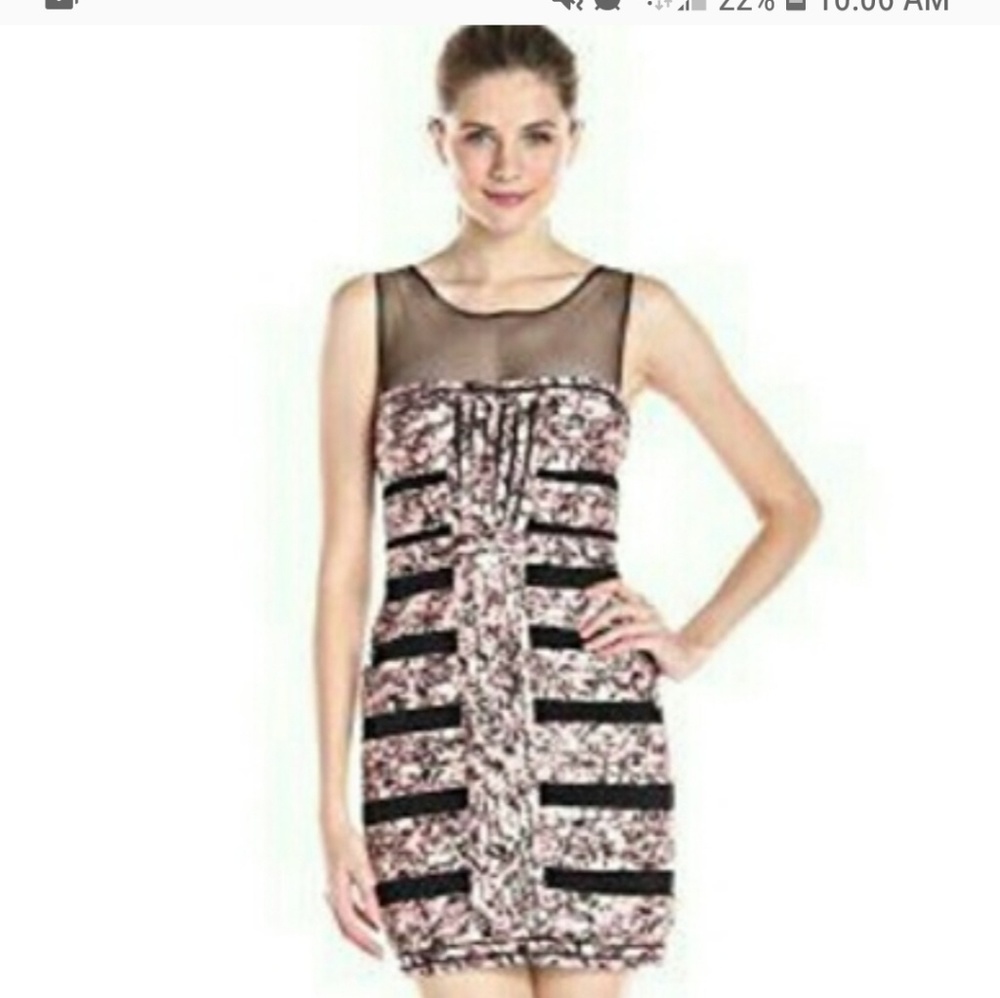 BCBG "Brenda" Dress in Rose